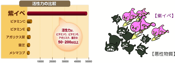 紫イペとルテイン