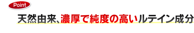 �ǎ��ȃ��e�C�����������߂�