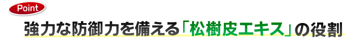 ������G�L�X��z��