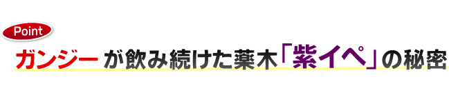 ���C�y��z��