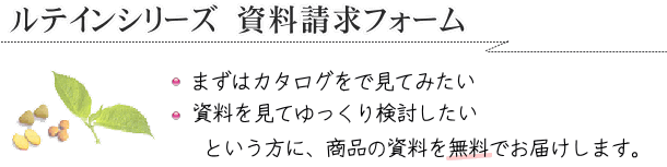 ���e�C���V���[�Y�@���������t�H�[��