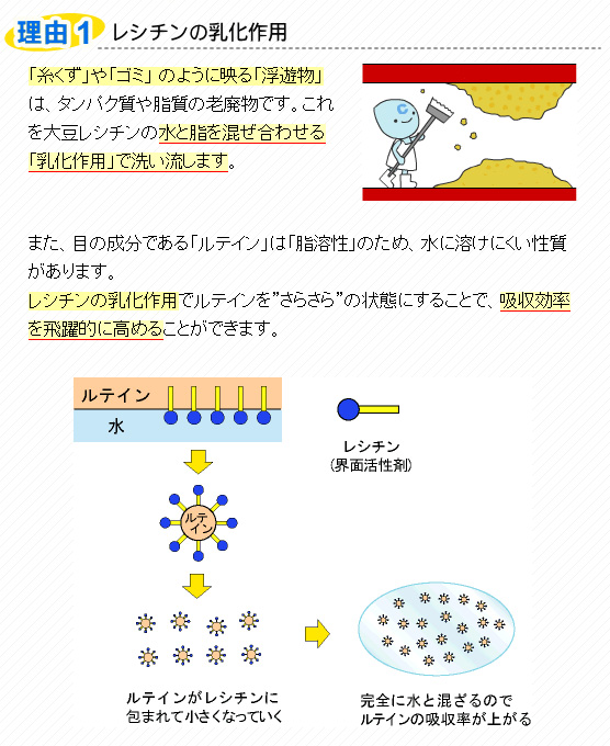 �哤���V�`��