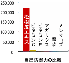 ���e�C���Ə�����G�L�X