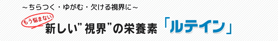 �V�������E�̉h�{�f���e�C��