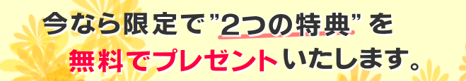 飛蚊症の改善