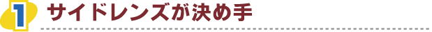 �T�C�h�����Y�����ߎ�