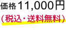 11000�~(�ō��E��������)