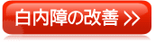 ������̉��P