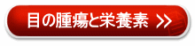 �ڂ̎�ᇂƖڂ̉h�{