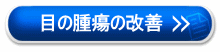 �ڂ̎�ᇂ̉��P���@