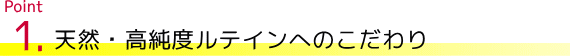 �V�R�E�����x���e�C�������I