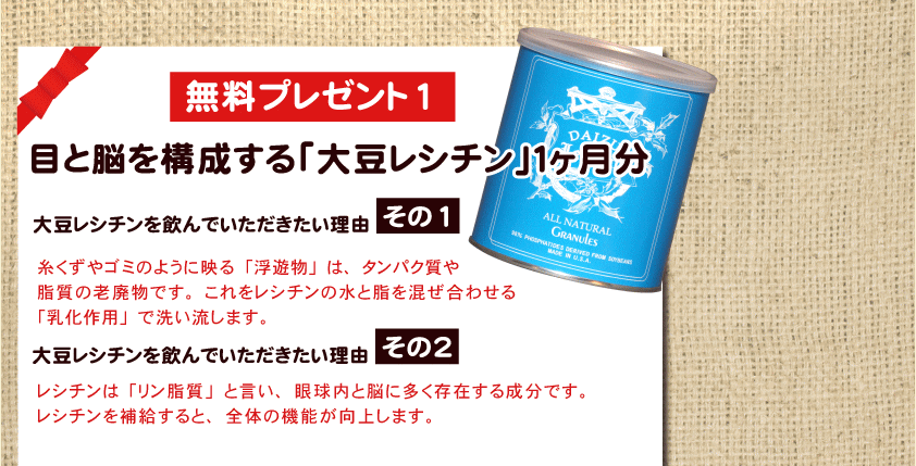 �u�哤���V�`���v�v���[���g