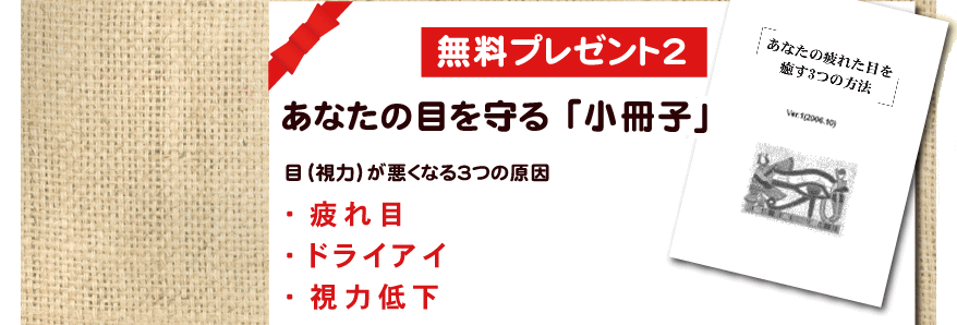 �ڂ̗ǂ��Ȃ鏬���q�v���[���g