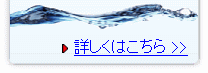 ���̉h�{�f