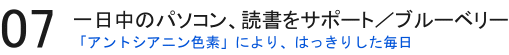 ブルーベリー