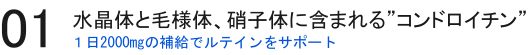 �R���h���C�`���ƃ��e�C��