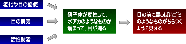 目の病気 飛蚊症/ひぶんしょうのプロセスとルテイン
