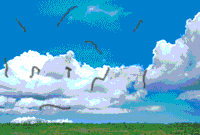 ���e�C���Ɣ��ǂЂԂ񂵂傤�̏Ǐ�