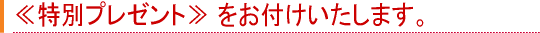 ���e�C�����ʃv���[���g