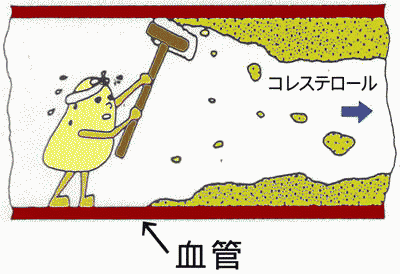 ���ǂ̖ڋl�܂�