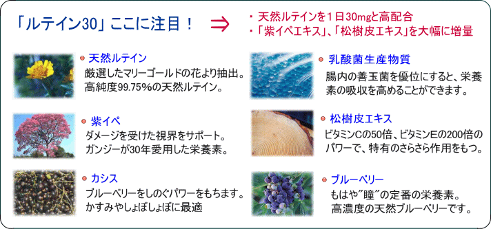 ���e�C��30�@�����ɒ���