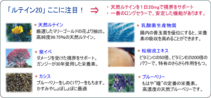 ���e�C��20�@�����ɒ���