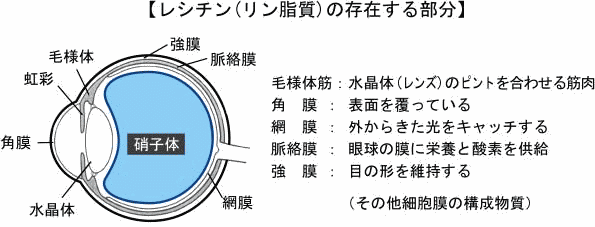 �哤���V�`��