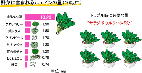 野菜に含まれるルテインの量