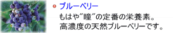 �u���[�x���[