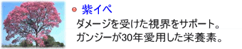 ���C�y