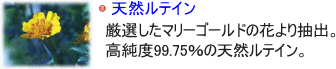 ���e�C��