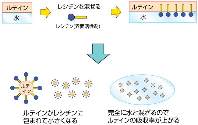 eCn哤V`