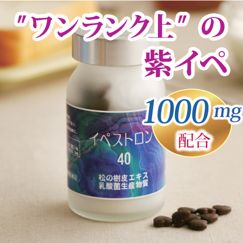 �C�y�X�g����40