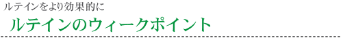 �哤���V�`���Ɠ��_�ې��Y�����A���C�y�ŃT�|�[�g