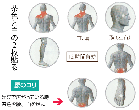 腰のコリ