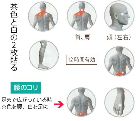 豊富なHOT ライフウェーブ アイスパッチ3個の 国産 - parasolskills.com