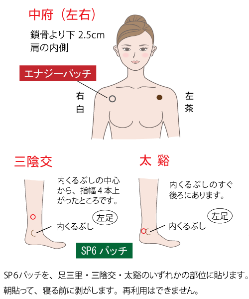 冷え ピタ 貼る 位置