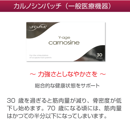カルノシンパッチ(Y-Age Carnosine Patches)/ご注文ページ|健康